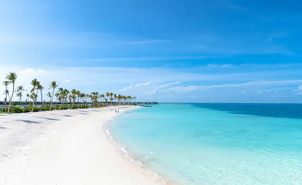 Joy Island The Cocoon Collection 5* - 12