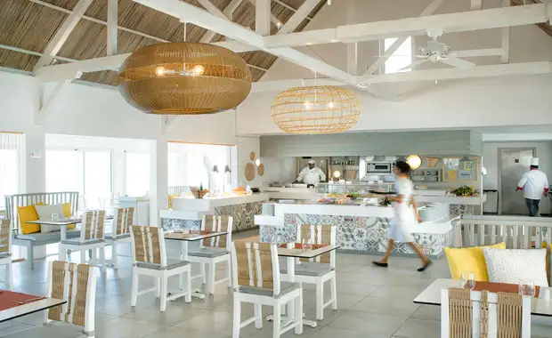 Tropical Attitude - Adult Only - 12