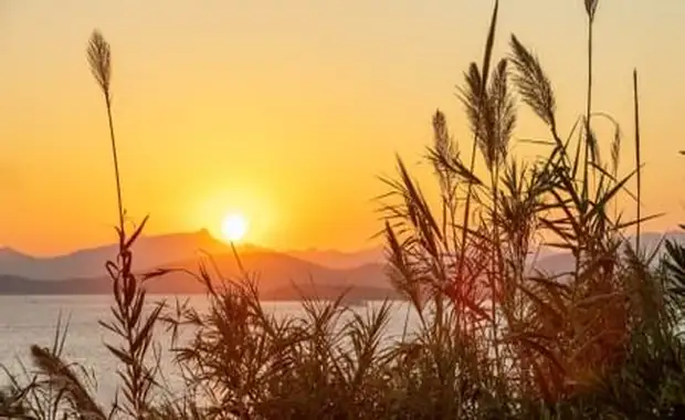 Senses Hotel Bodrum - Adult Only - 19