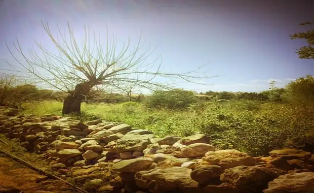 Autotour Tour de la Grèce  - d'Athènes A Athènes - 5