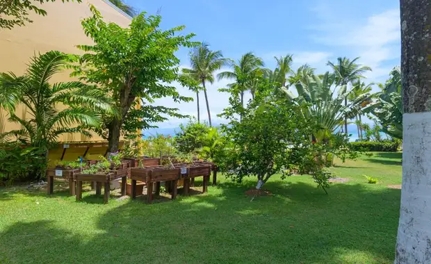 Hôtel Canella Beach 3* avec location de voiture - 11