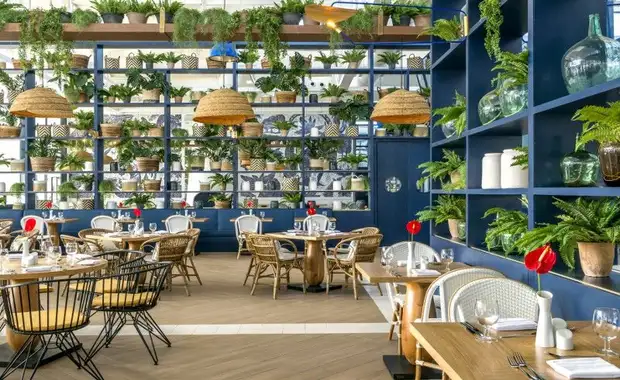 Club Eldorador Ocean Riviera Paradise 5* - avec vols Air France - 15
