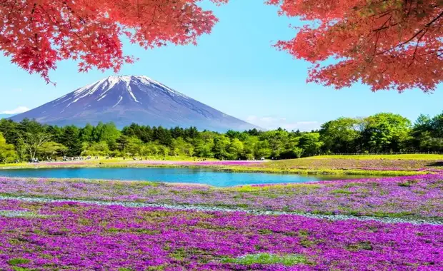 Circuit Des essentiels au Mont Fuji en 3* en 12 nuits - De Tokyo A Osaka - 4