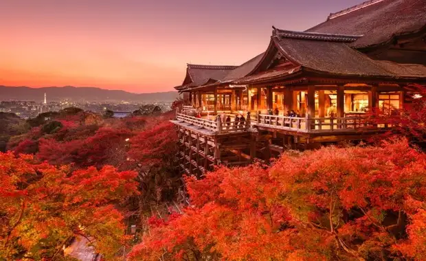 Circuit Des essentiels au Mont Fuji en 3* en 12 nuits - De Tokyo A Osaka - 5