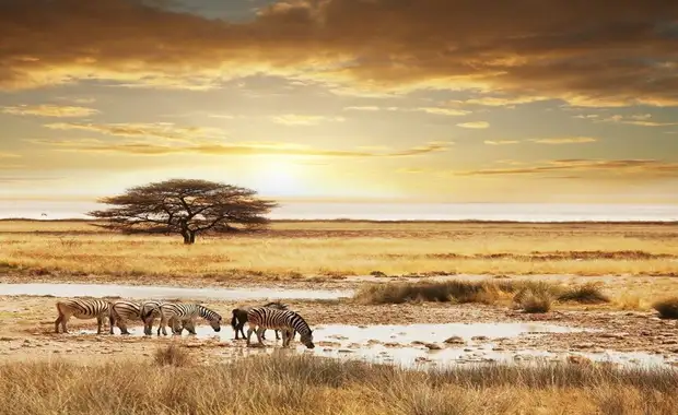 I Love Afrique du Sud, Chutes Victoria & Parc Chobe 17J/14N - Dès le 01/11/25 - Vols Air France - 4