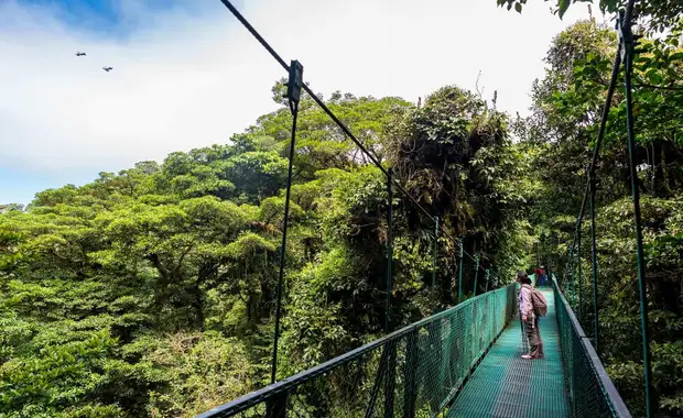 Sur La Route Du Costa Rica: Monteverde Et Plage - 13J/11N - 2