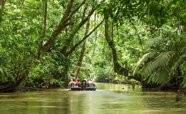 Sur La Route Du Costa Rica: Monteverde Et Plage - 13J/11N - 5