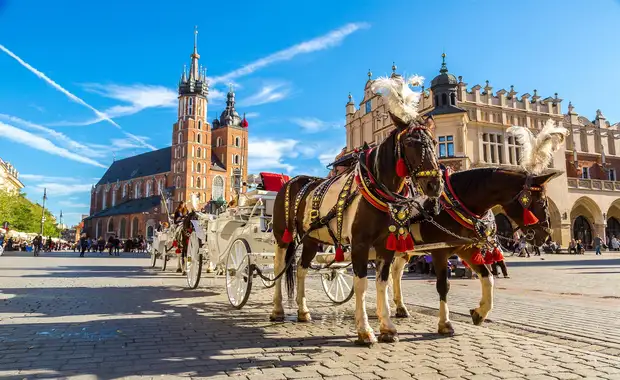 De Varsovie à Cracovie en privatif - 6J/5N - 5
