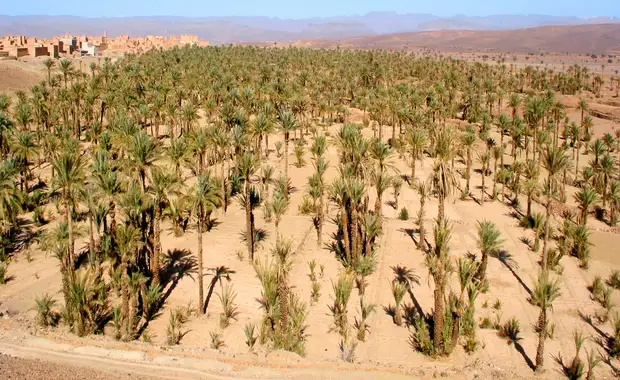 Le Sud Marocain en 4x4 & Extension Club Coralia Marrakech Ryads Parc & Spa 4* - 14