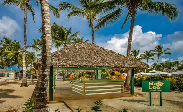 Catalonia Royal La Romana 5* - Adult Only - 10