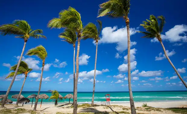 Starfish Cuatro Palmas 4* - Adult only - 9