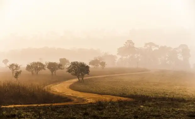 Safari Tsavo East, Amboseli et Séjour au Neptune Palm Beach Resort & Spa  4* nl - 2