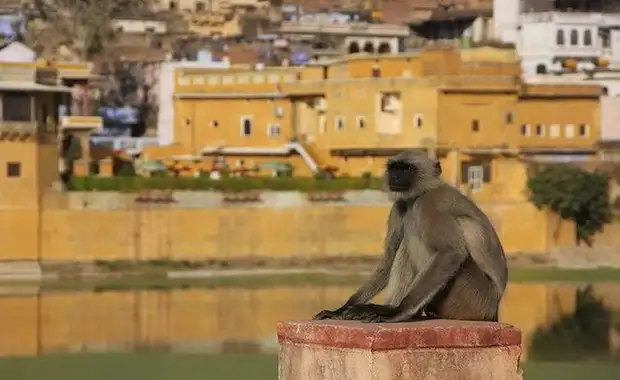 Rajasthan Intimiste + Vallée du Gange - Inde - 19