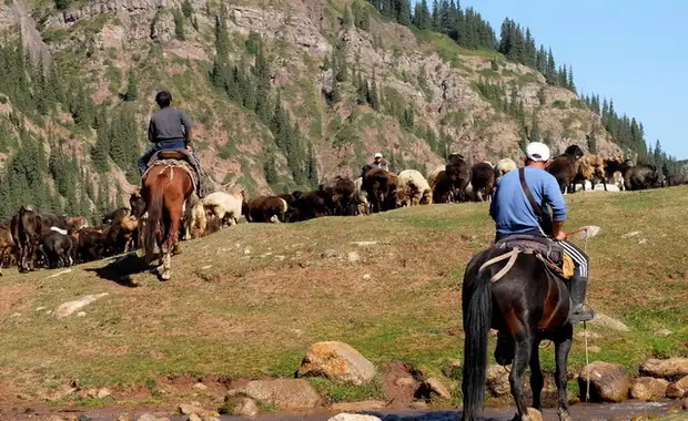 Nomad's Land - Kazakhstan, Kirghizistan - 12