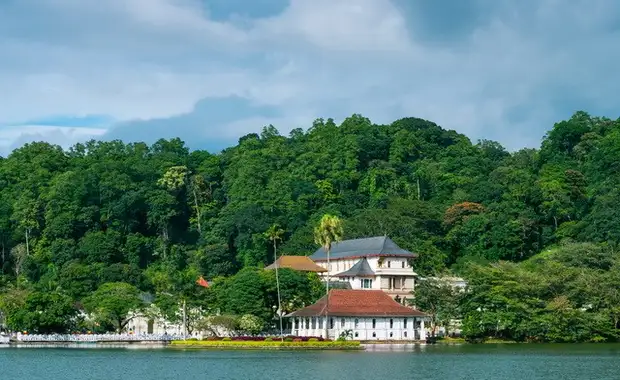 Ceylan Bonheur - Sri Lanka - 11