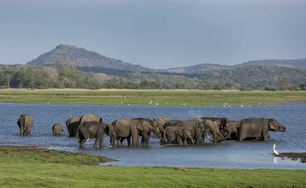 Ceylan Bonheur - Sri Lanka - 18