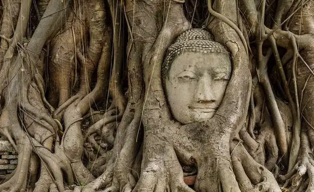 Thailande Essentielle + séjour Phuket 4* (départ 02 dec. 2025) - 4