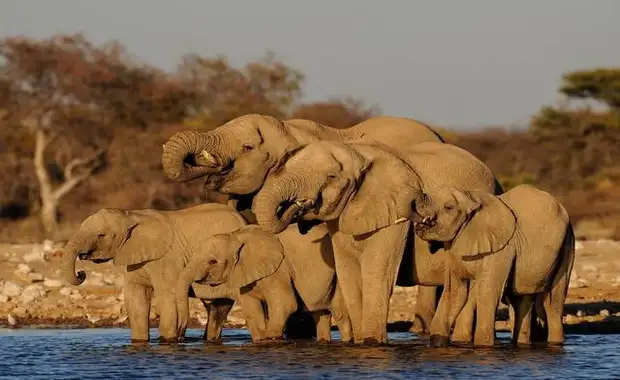 Aventure en Namibie - 6