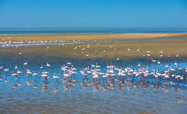 Aventure en Namibie - 18