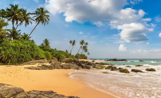 Ceylan Bonheur - Sri Lanka - 22