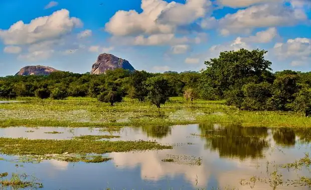 Ceylan Bonheur - Sri Lanka - 16