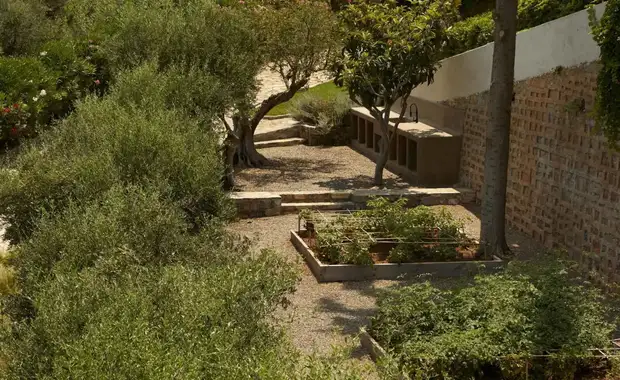 Minos Palace Resort - 5* - 4