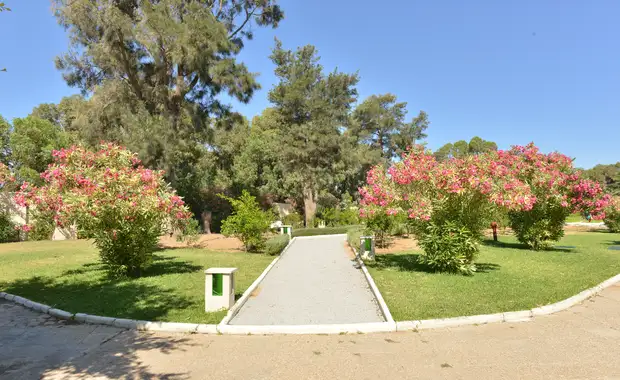 Hôtel Le Royal Hammamet 5*- AIl inclusive - 20