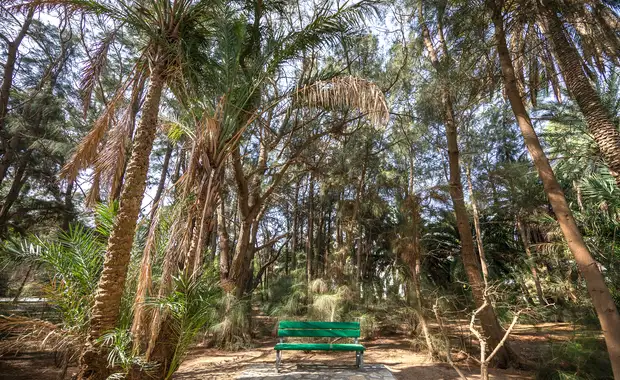 Hôtel Marhaba Royal Salem 4* - Exclusivité Cdiscount - 10