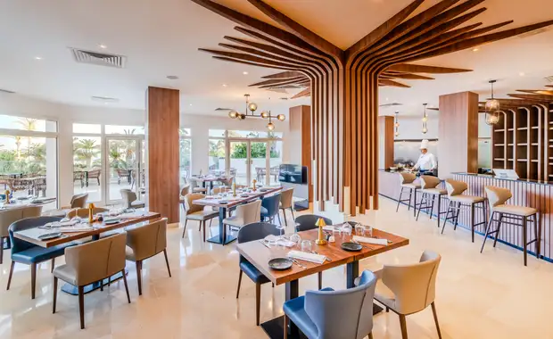 Hôtel TUI BLUE Palm Beach Club Hammamet 4* - 16