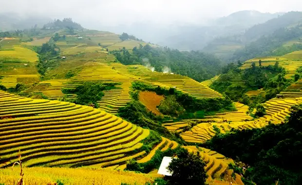 Splendeurs du Vietnam 12J/9N - 2025 - 15