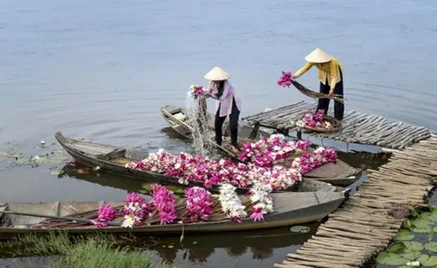 Splendeurs du Vietnam 12J/9N - 2025 - 17