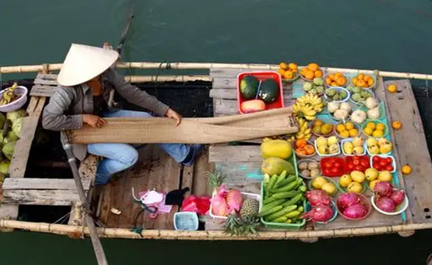 Splendeurs du Vietnam 12J/9N - 2025 - 4