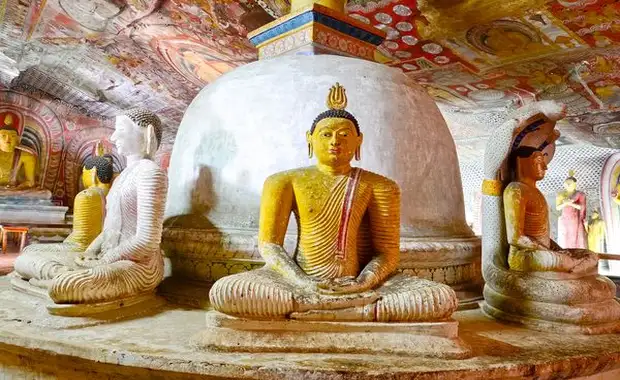 Immersion au Sri Lanka 15J/12N - 2025 - 6