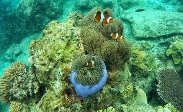 Merveilles du Sri Lanka & Extension Villa Park Sun Island 5* Maldives - 18J/15N - 2025 - 21