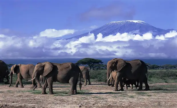 Douceurs du Kenya 10J/07N - 2025 - 10