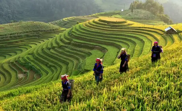 Merveilles du Vietnam & Cambodge & Pré-Voyage Sapa - 18J/15N - 2025 - 28