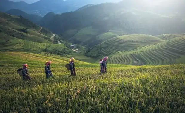 Immersion en Thaïlande 13J/10N - 2025 - 18