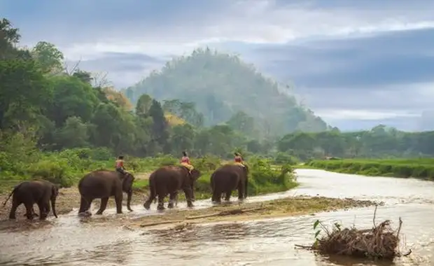 Immersion en Thaïlande 13J/10N - 2025 - 21