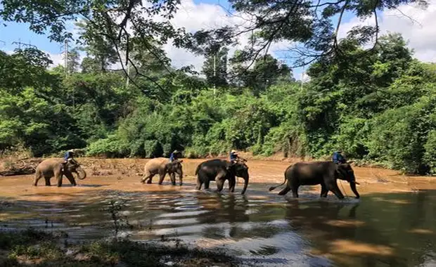 Immersion en Thaïlande 13J/10N - 2025 - 5