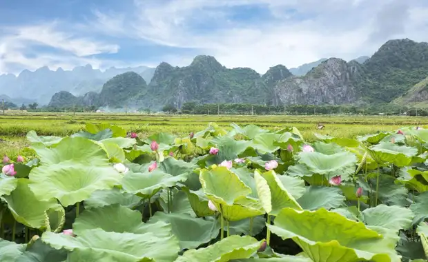 Circuit Privatif Evasion en Asie du Sud-Est - Vietnam, Cambodge & Thaïlande - 3