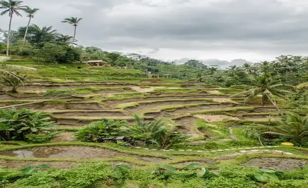 Evasion au Sud de Bali - Circuit Privatif - 7