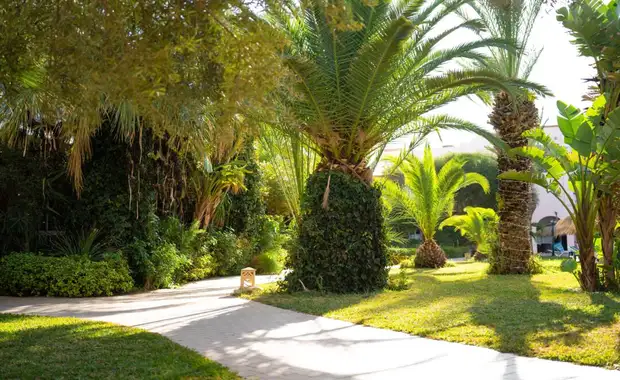 Eden Yasmine Resort & Spa 4* - 19