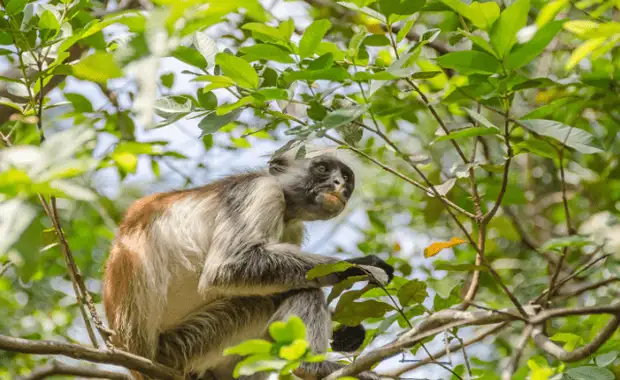 Zanzibar, BlueBay Beach Resort and Spa 5* - 8