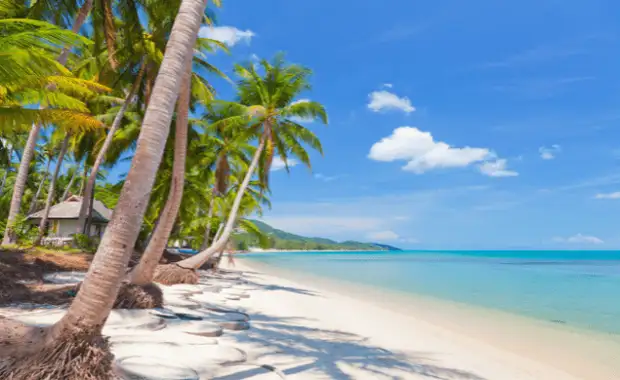 Combiné De Bangkok aux Sables de Koh Samui 4* - 1