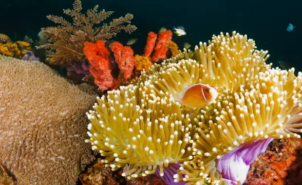 Circuit Bali Autrement en Glamping et Privatif, entre Culture, Nature et Traditions - 11