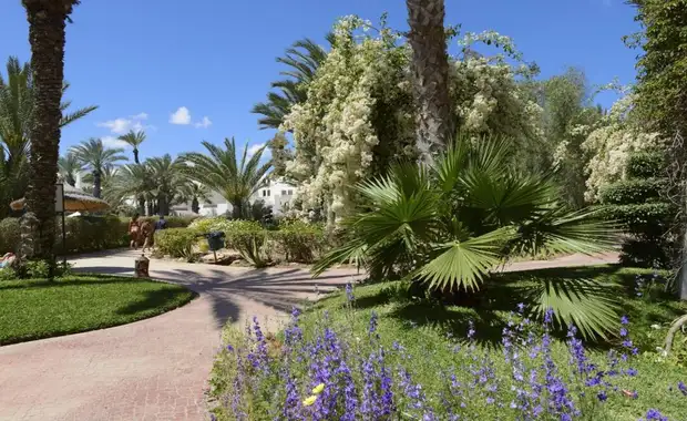 Hotel Djerba Resort 4* - 4