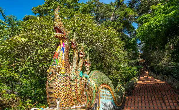 Circuit Lotus de Thaïlande et plage à Phuket 5* - 12