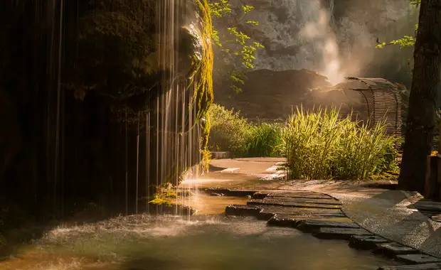 La symphonie des jardins Croisière dans la vallée du Rhône (formule port-port) - 9