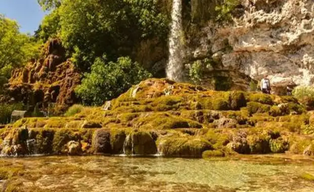 La symphonie des jardins Croisière dans la vallée du Rhône (formule port-port) - 2