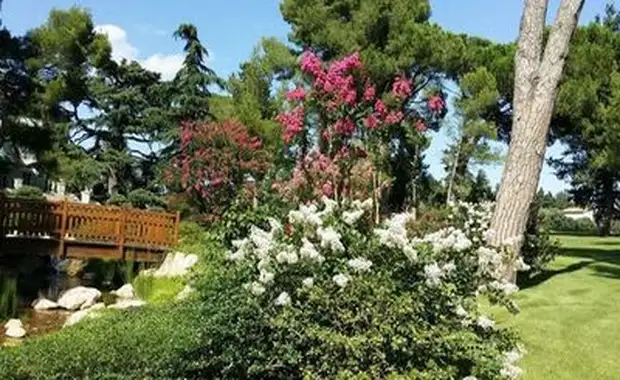 La symphonie des jardins Croisière dans la vallée du Rhône (formule port-port) - 4